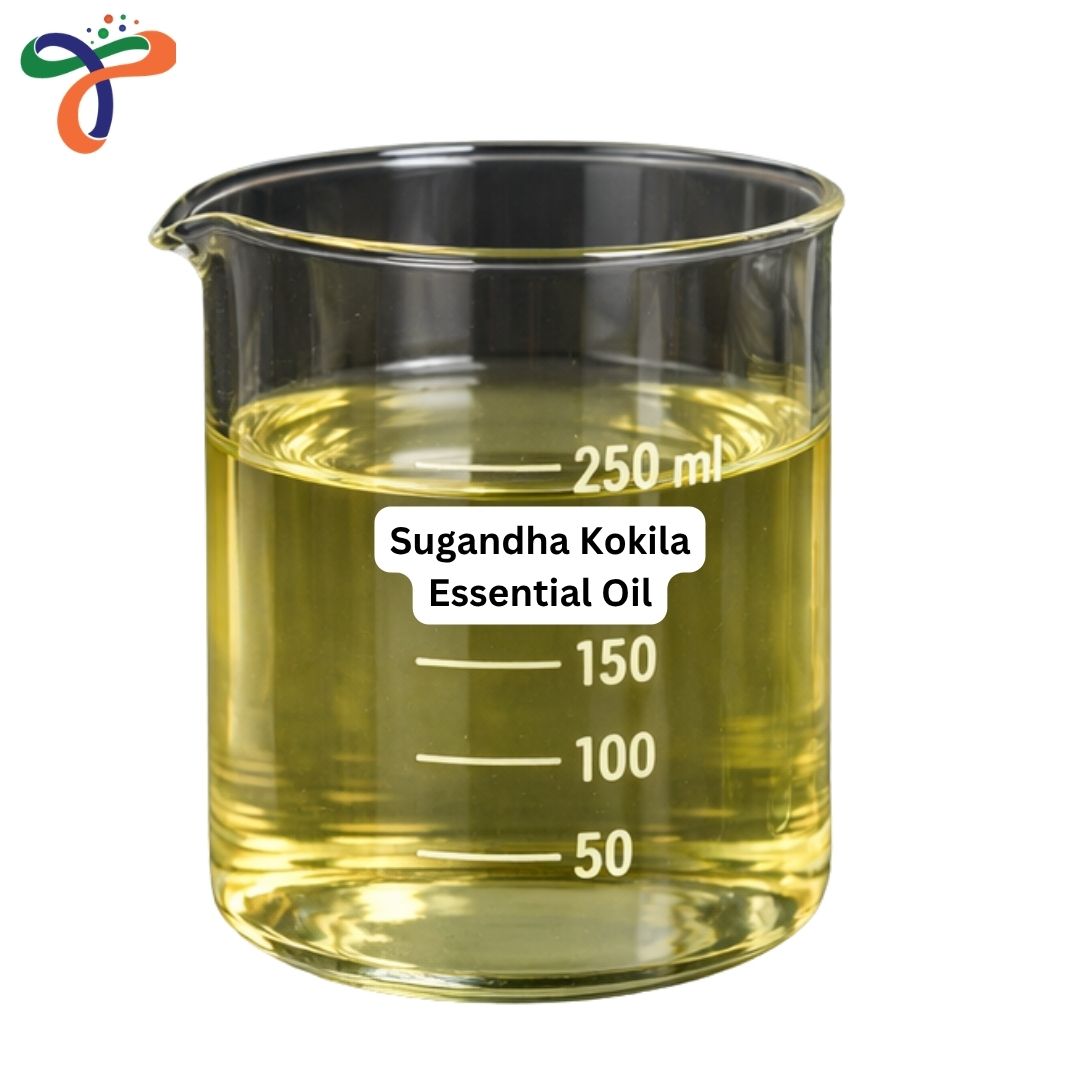 Sugandha Kokila Essential Oil